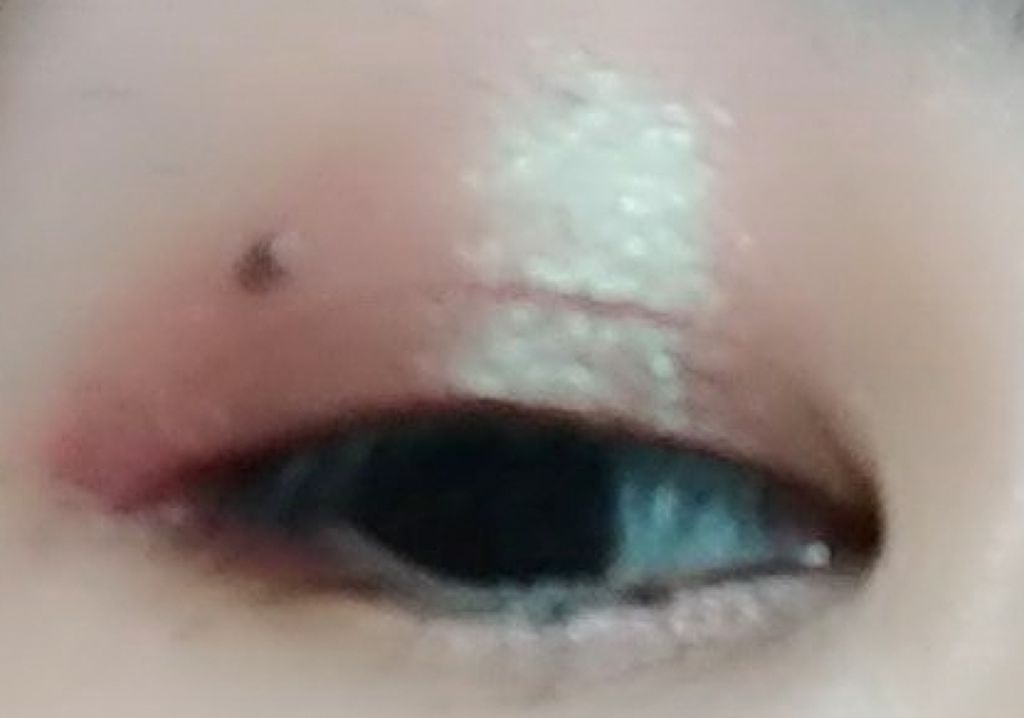 ポケモン マルチパレット/IT'S DEMO/アイシャドウパレットを使ったクチコミ(3枚目)