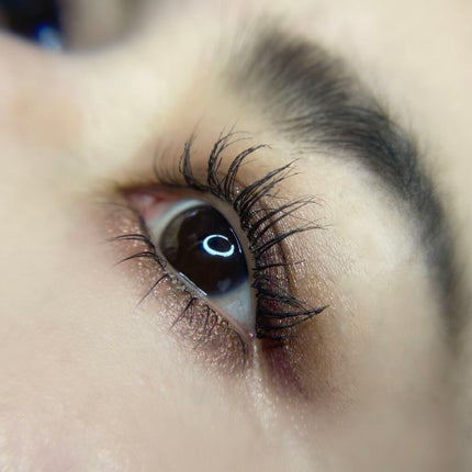 パーフェクトスタイリストアイズ/キャンメイク/アイシャドウパレットを使ったクチコミ(5枚目)