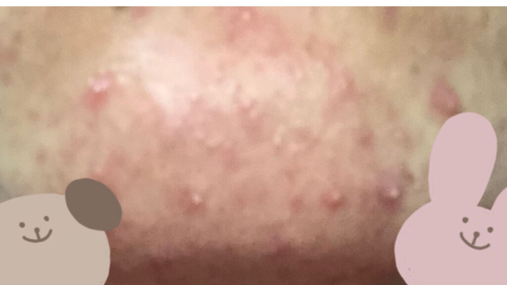 白潤プレミアム薬用浸透美白化粧水/肌ラボ/化粧水を使ったクチコミ（2枚目）