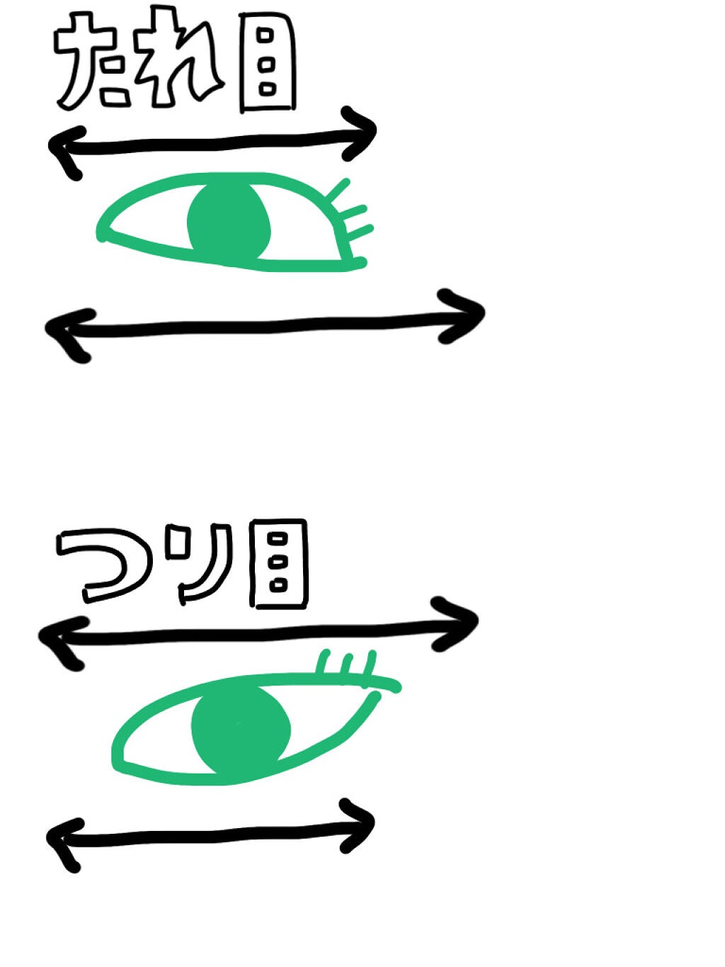 パーフェクトマルチアイズ/キャンメイク/アイシャドウパレットを使ったクチコミ(2枚目)