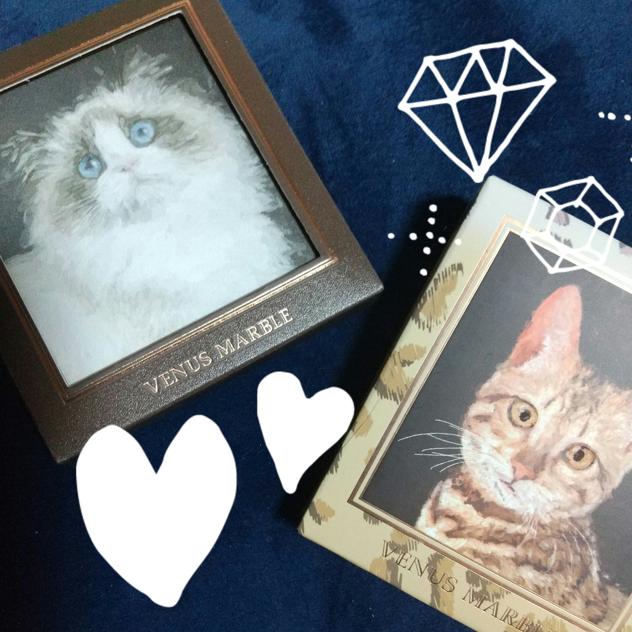 Venus Marble アイシャドウキャットシリーズ/Venus Marble/アイシャドウパレットを使ったクチコミ（1枚目）