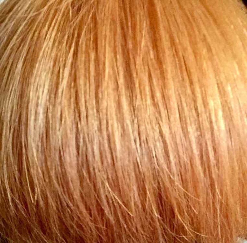 ベースアップブリーチ/ビューティーン/ブリーチ剤を使ったクチコミ(1枚目)