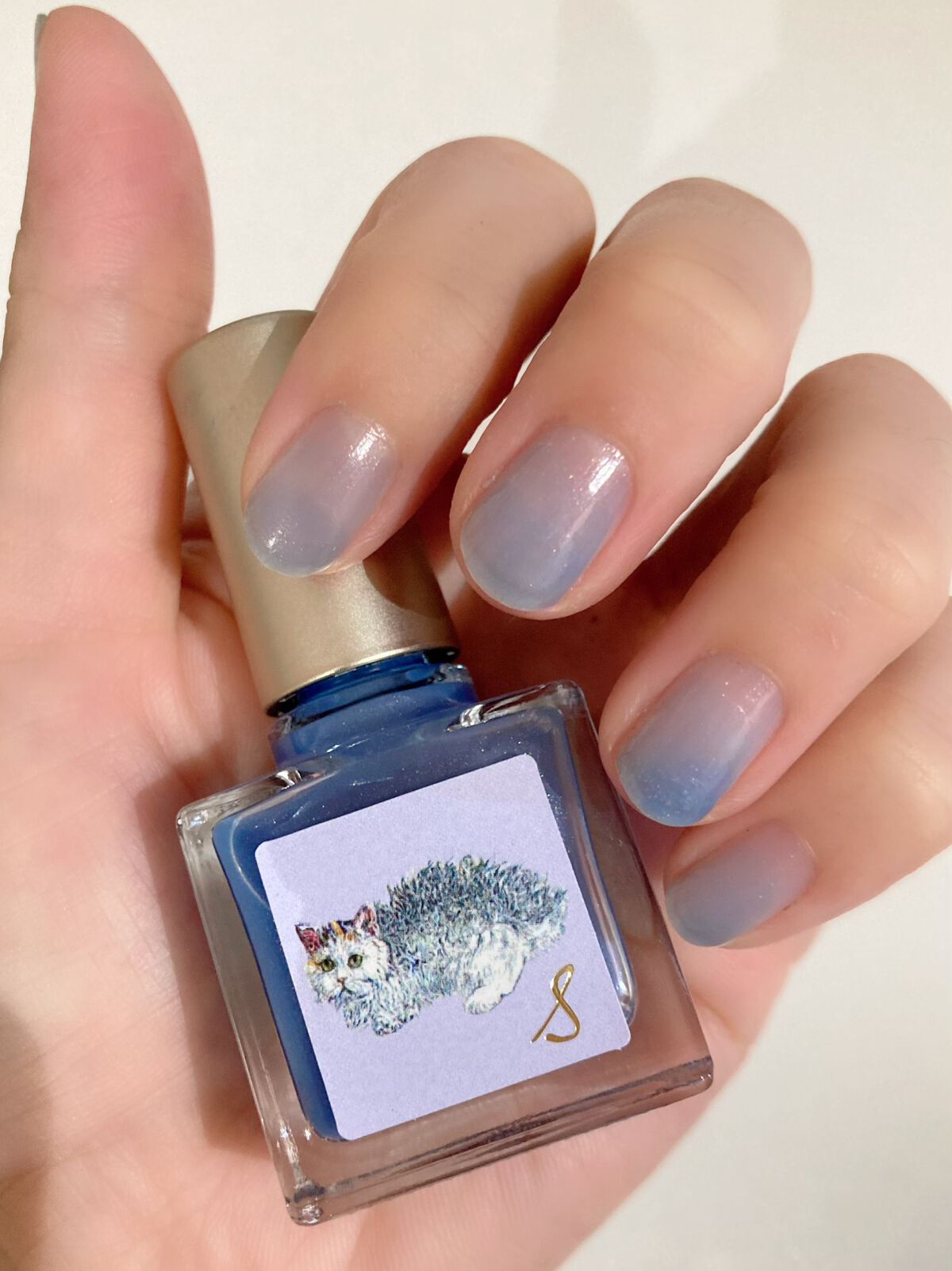 ネイルエス/ nail S(ネイルエス) /マニキュアを使ったクチコミ（1枚目）