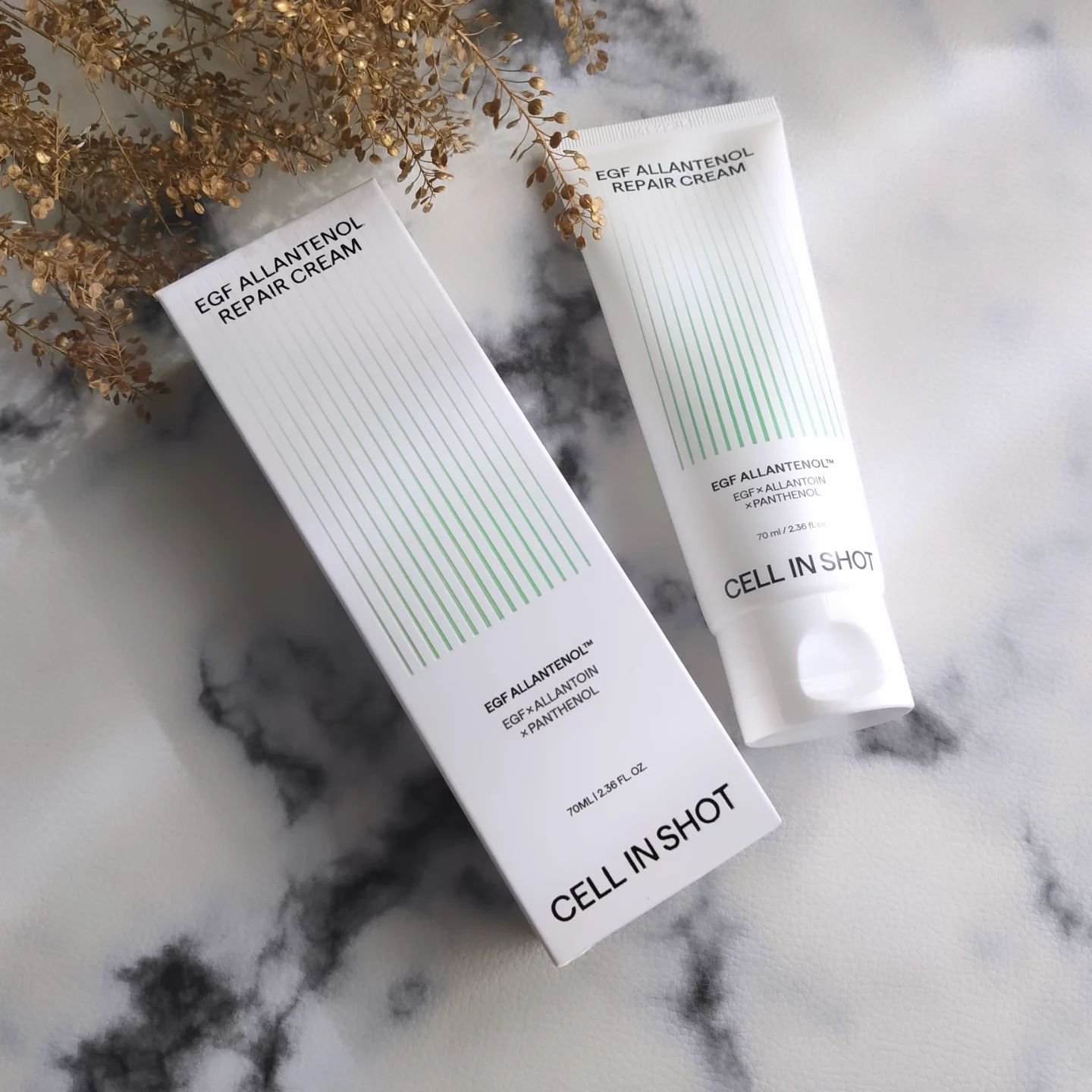 EGFアランテノールクリーム/CELLINSHOT/フェイスクリームを使ったクチコミ（2枚目）