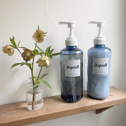 モイスチャーダメージケア シャンプー/トリートメント/Aquall/市販シャンプーを使ったクチコミ(1枚目)