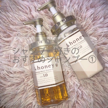 ディープモイスト シャンプー1.0／ヘアトリートメント2.0/&honey/シャンプー・コンディショナーを使ったクチコミ（1枚目）