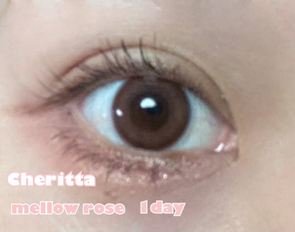 Cheritta 1day/Cheritta/ワンデー(1DAY)カラコンを使ったクチコミ(1枚目)