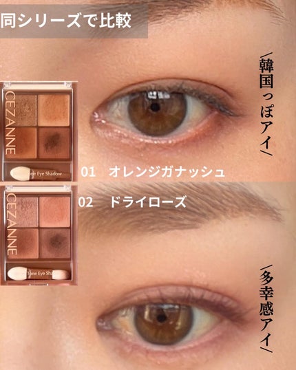 ビタートーンアイシャドウ/CEZANNE/パウダーアイシャドウを使ったクチコミ(6枚目)