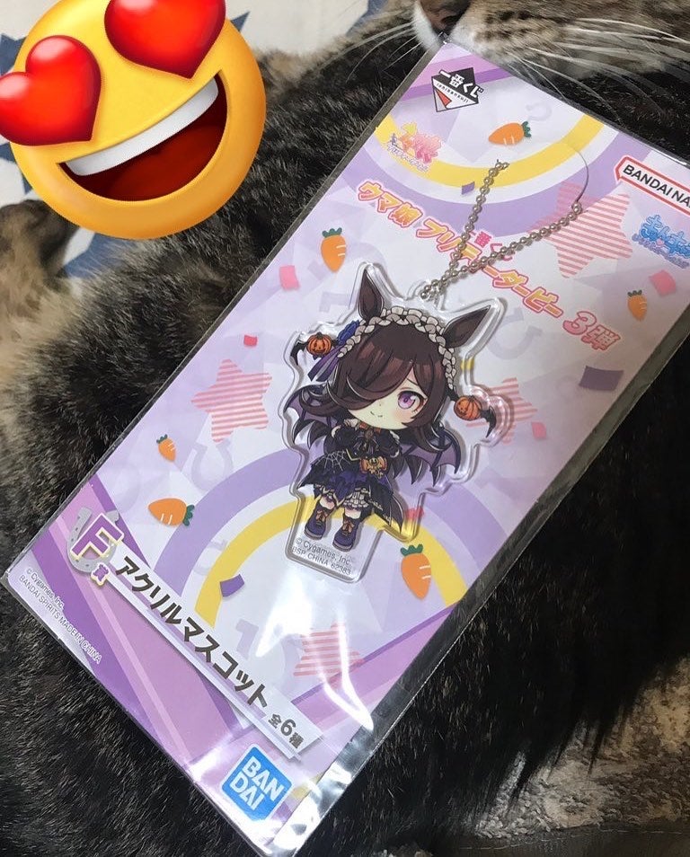 まめ子 on LIPS 「今年の天皇賞・秋行ってきました〜✨私の推しタニノギムレットの産..」(7枚目)