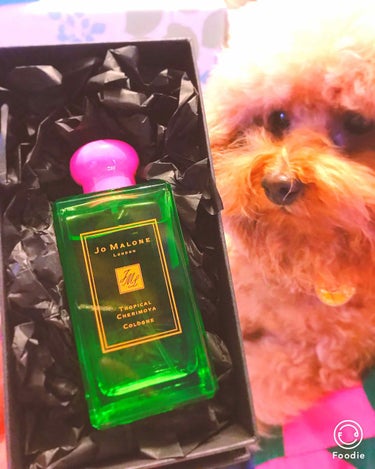 トロピカル チェリモヤ コロン/Jo MALONE LONDON/香水(レディース)を使ったクチコミ（1枚目）