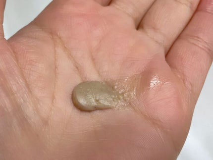 スクラビング マッド ウォッシュ/KANEBO/洗顔フォームを使ったクチコミ(2枚目)