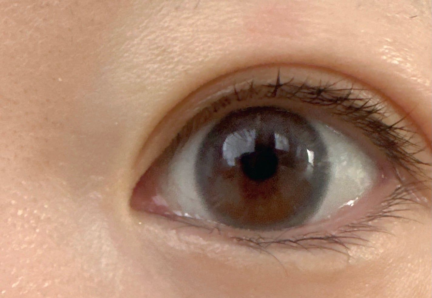 OvE(オヴィ) 1day/OvE/ワンデー(1DAY)カラコンを使ったクチコミ(3枚目)