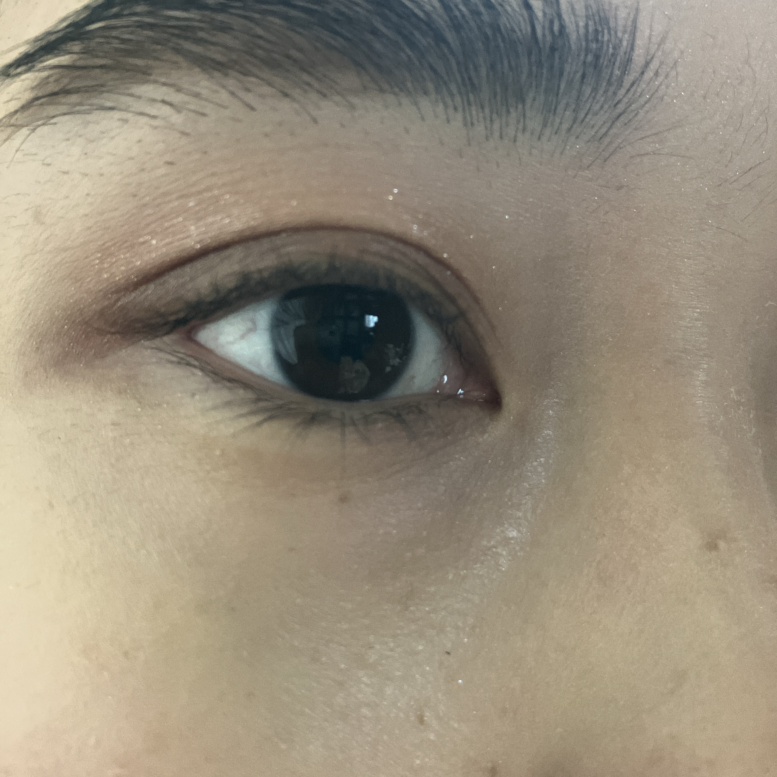 ミネラルクラッシィシャドー/エトヴォス/アイシャドウパレットを使ったクチコミ（3枚目）