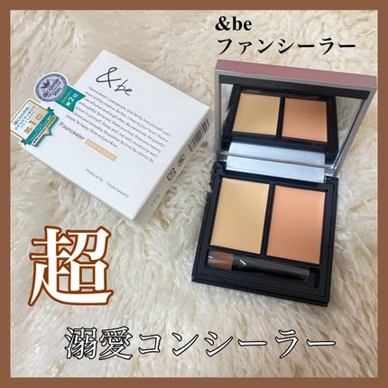 &be ファンシーラー/&be/パレットコンシーラーを使ったクチコミ(1枚目)