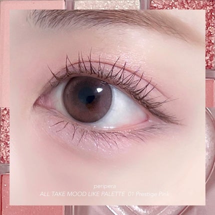 オールテイクムードライクパレット/PERIPERA/アイシャドウパレットを使ったクチコミ(6枚目)