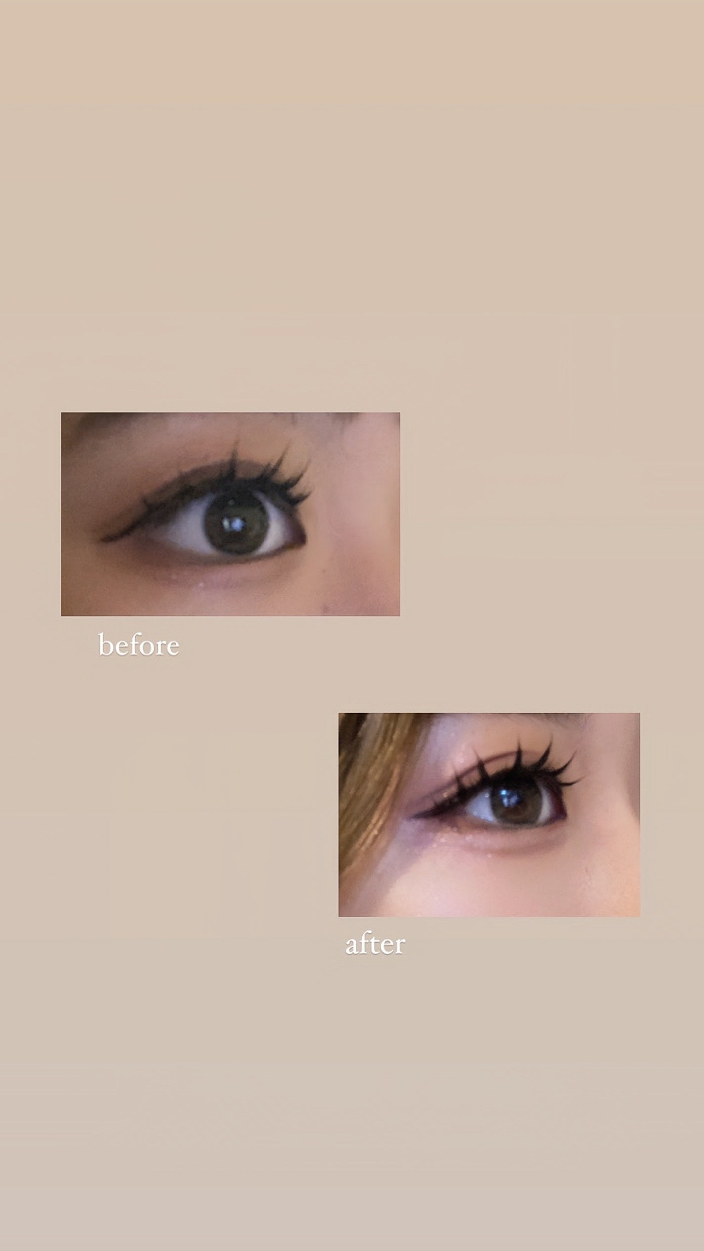 エバーカラーワンデーミリモア/エバーカラー/ワンデー(1DAY)カラコンを使ったクチコミ(3枚目)