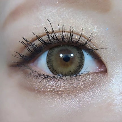 Majette 1day/Majette/ワンデー(1DAY)カラコンを使ったクチコミ(5枚目)