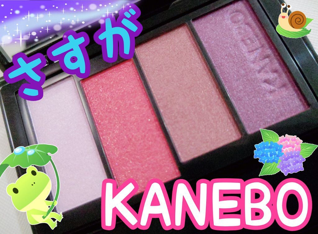 レイヤードカラーズアイシャドウ/KANEBO/アイシャドウパレットを使ったクチコミ(1枚目)
