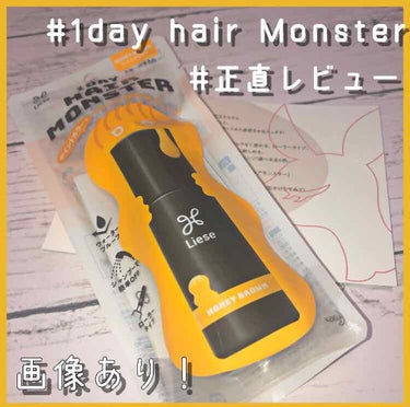 1DAY HAIR MONSTER モードブルー/リーゼ/ヘアカラーを使ったクチコミ（1枚目）