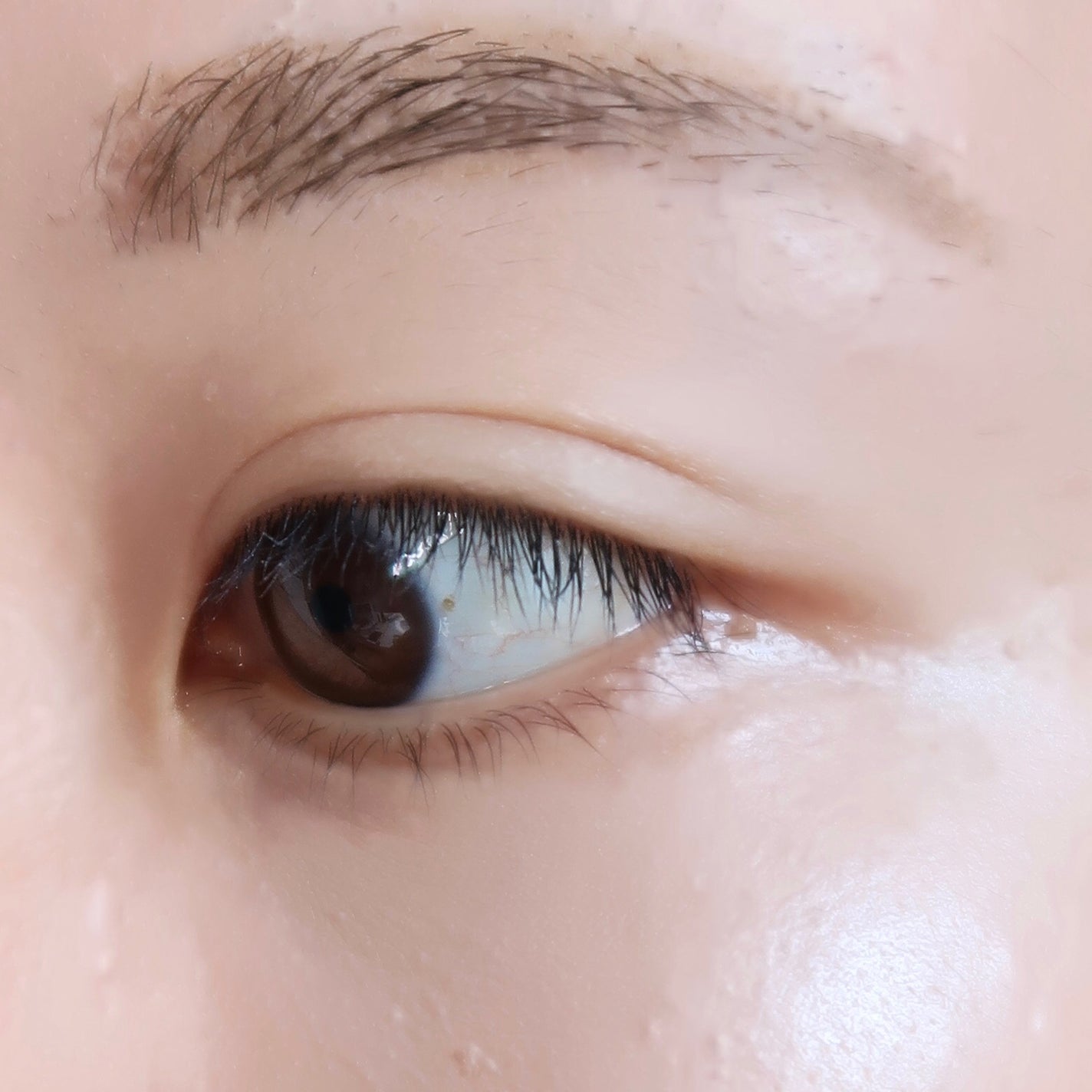 ファッションブロウ パウダーインペンシル N/MAYBELLINE NEW YORK/アイブロウペンシルを使ったクチコミ(3枚目)