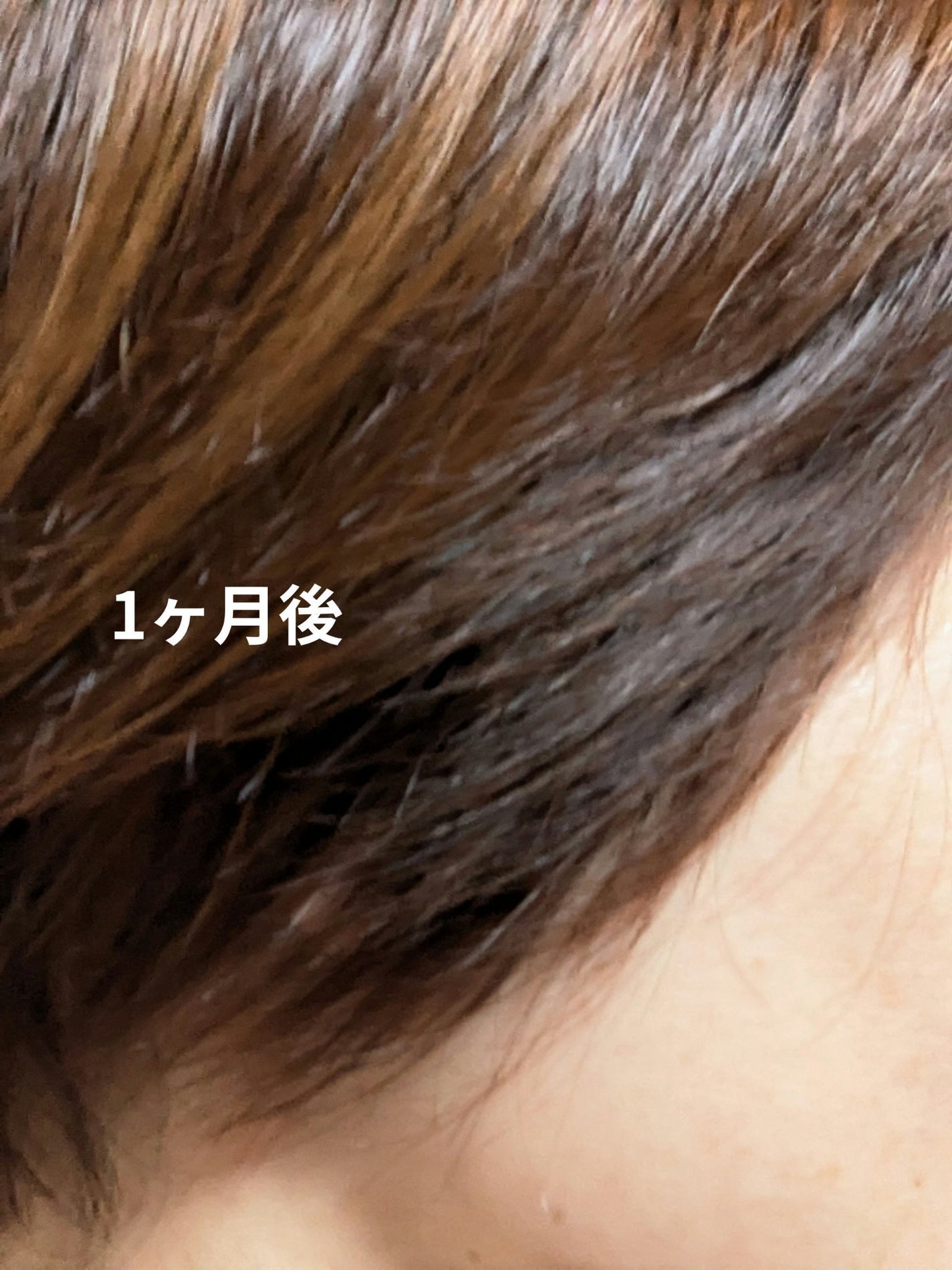 クリアリーカラー (白髪用) /クレオディーテ/ヘアカラーを使ったクチコミ(6枚目)