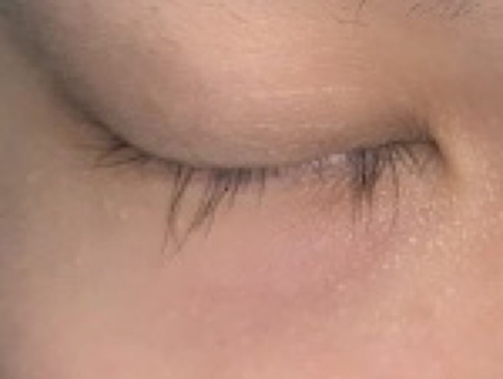 FEG  Eyelash  Enhancer/FEG/まつげ美容液を使ったクチコミ（2枚目）