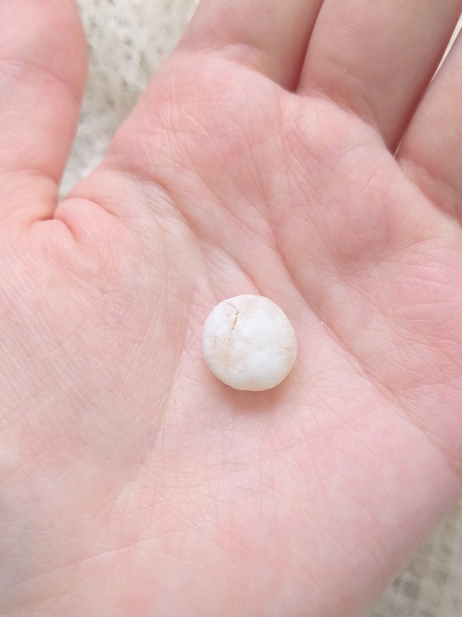 昔ながらおとなの肝油ドロップ/野口医学研究所/健康サプリメントを使ったクチコミ（3枚目）