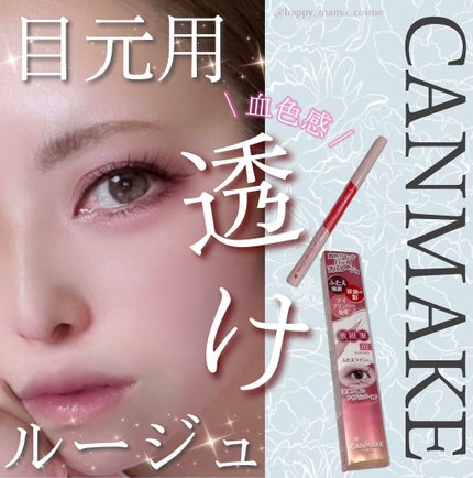 3wayスリムアイルージュライナー/キャンメイク/リキッドアイライナーを使ったクチコミ(1枚目)