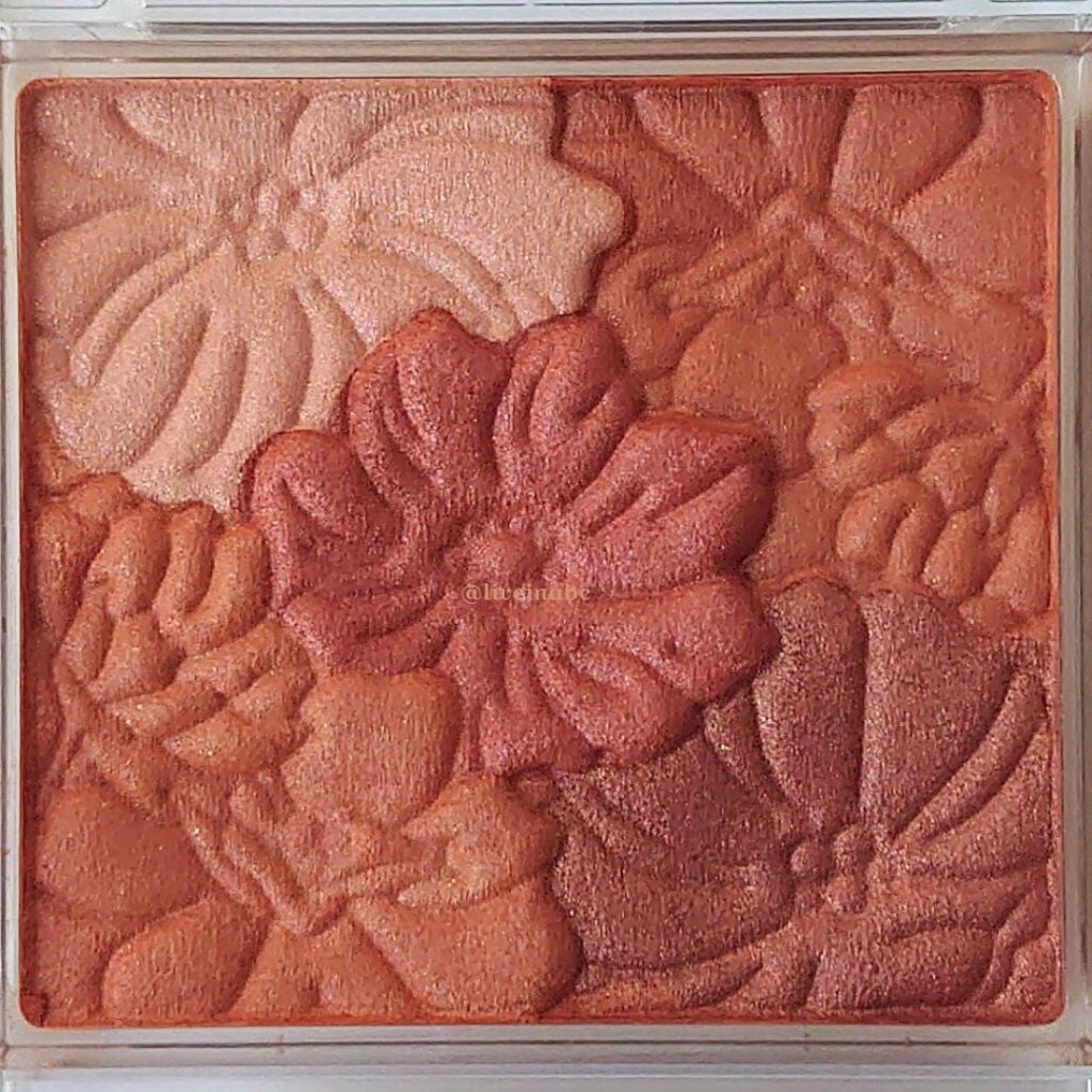 グロウフルールチークス/キャンメイク/パウダーチークを使ったクチコミ(4枚目)