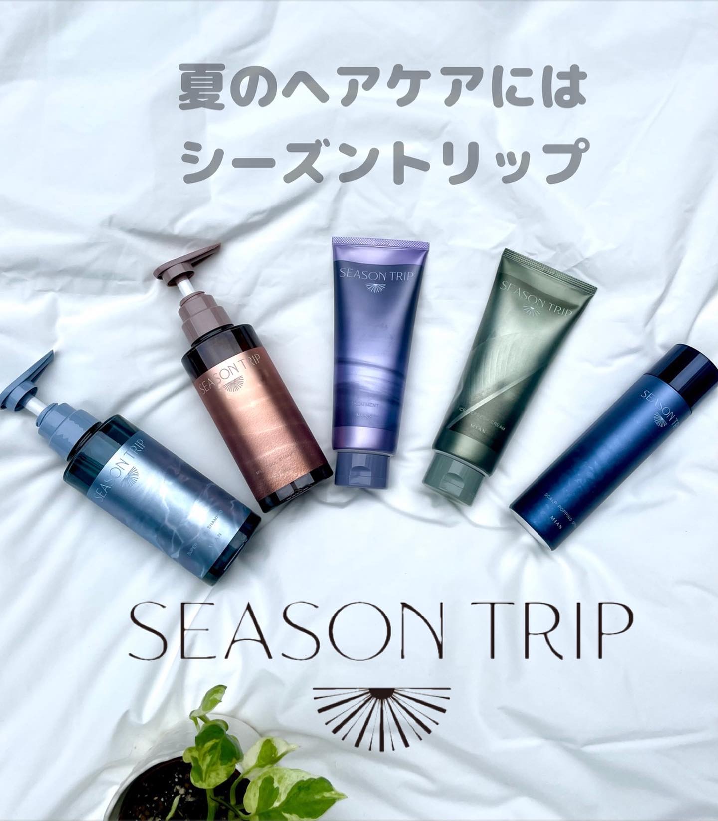 シーズントリップ スキャルプポッピングスプレー/ミアンビューティー/頭皮ローションを使ったクチコミ（1枚目）