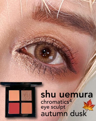 クロマティックス クワッド アイスカルプト オータム ダスク/shu uemura/アイシャドウパレットを使ったクチコミ（1枚目）