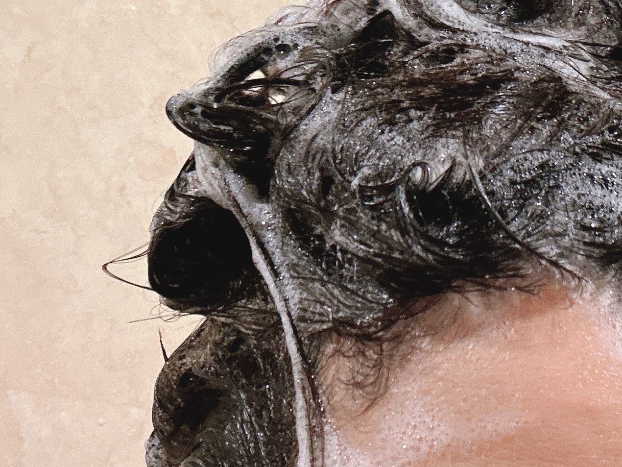 オーガニックシャンプー／トリートメント＜モイストシャイン＞/AROMA KIFI/市販シャンプーを使ったクチコミ（3枚目）