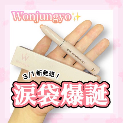 ウォンジョンヨ メタルシャワーペンシル/Wonjungyo/スティックアイシャドウを使ったクチコミ(1枚目)