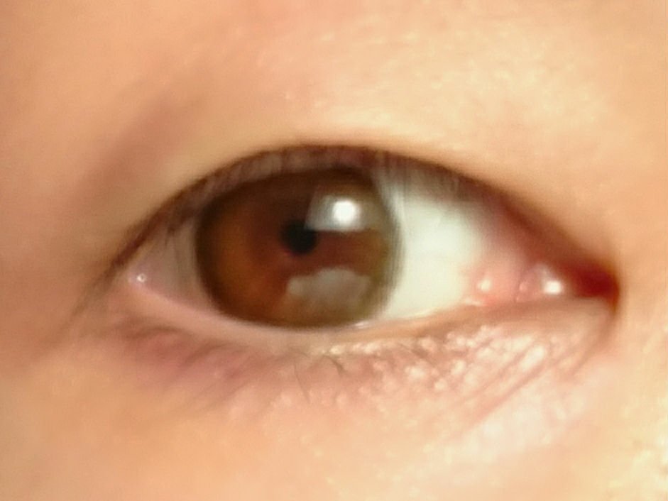 thepiel/THEPIEL/カラーコンタクトレンズを使ったクチコミ（1枚目）