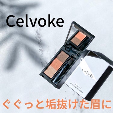 インディケイト アイブロウパウダー 05 オレンジブラウン|Celvokeの