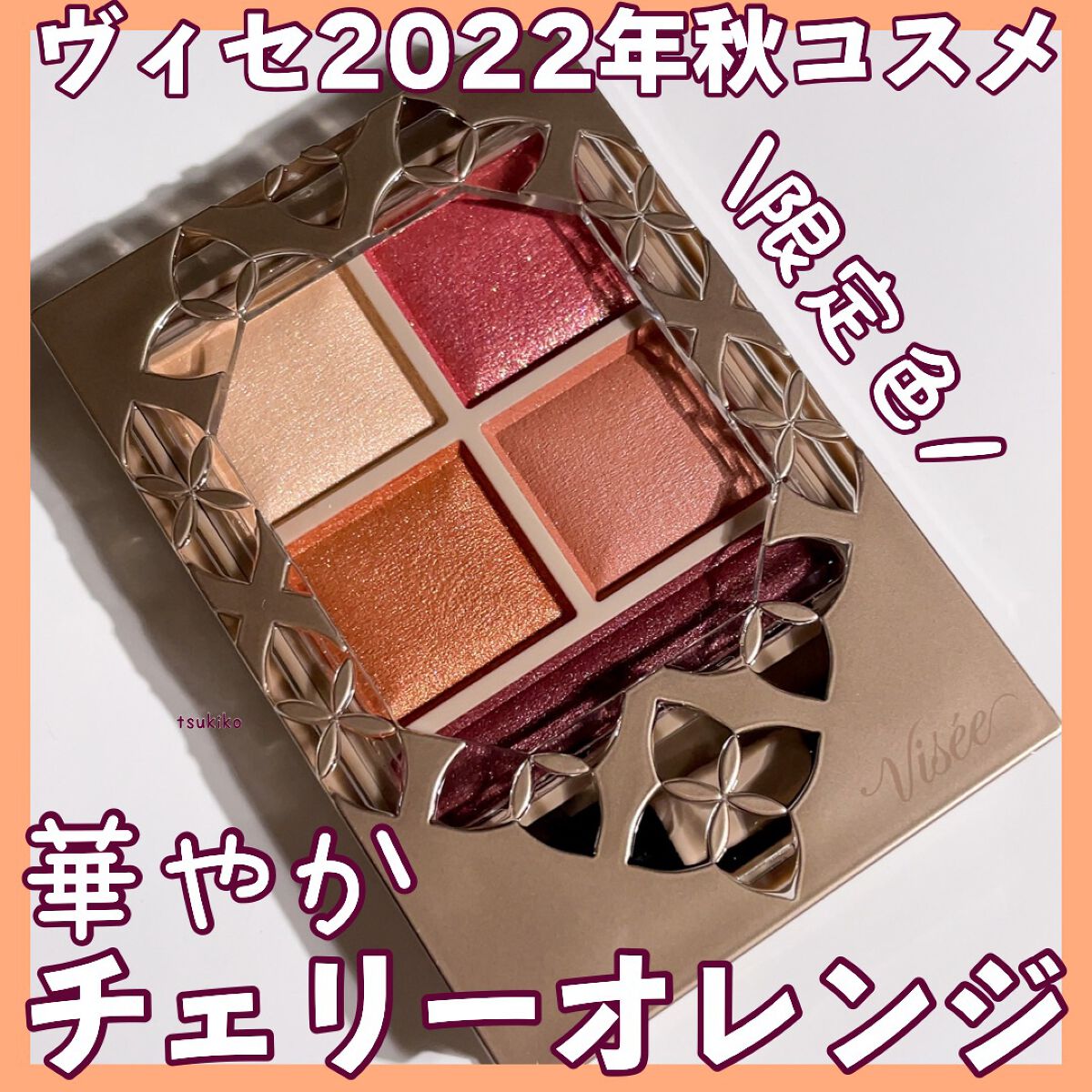 パノラマデザイン アイパレット/Visée/アイシャドウパレットを使ったクチコミ（1枚目）