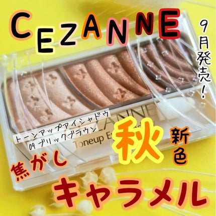 トーンアップアイシャドウ/CEZANNE/アイシャドウパレットを使ったクチコミ(1枚目)