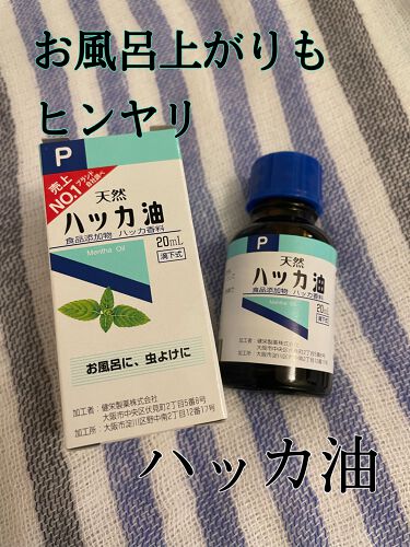 試してみた ハッカ油 健栄製薬 Lips