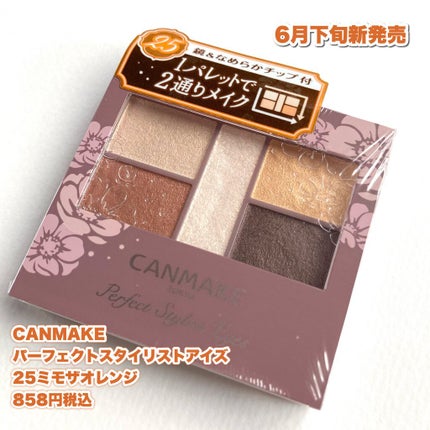 パーフェクトスタイリストアイズ/キャンメイク/アイシャドウパレットを使ったクチコミ(2枚目)