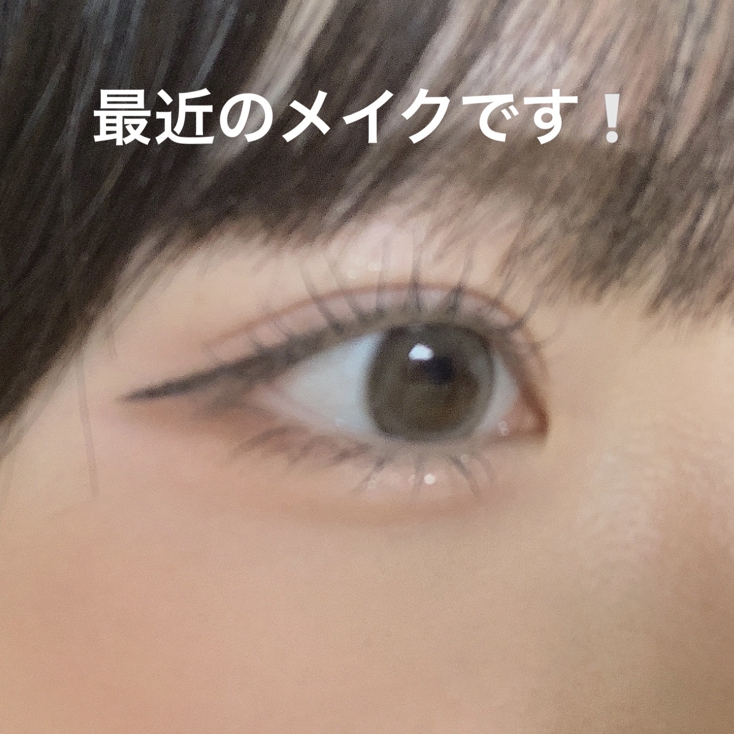 エクスプローラ12色 動物アイシャドウパレット/PERFECT DIARY/アイシャドウパレットを使ったクチコミ（1枚目）