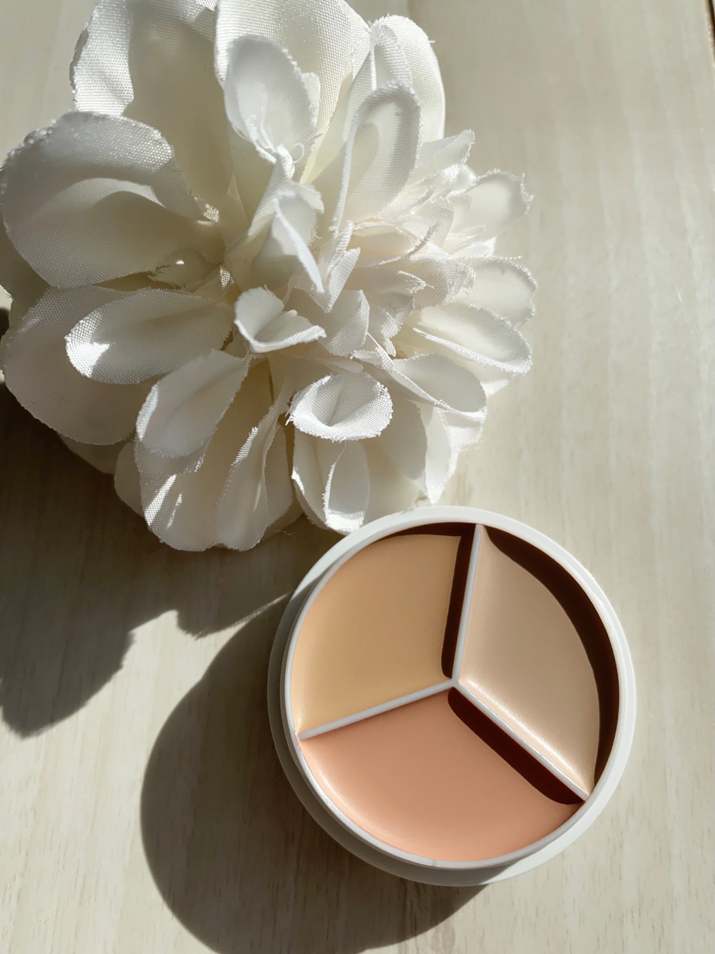 カバーアッププロコンシーラー/TFIT/パレットコンシーラーを使ったクチコミ(4枚目)