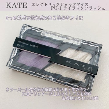 エレクトリックショックアイズ /KATE/アイシャドウパレットを使ったクチコミ（2枚目）