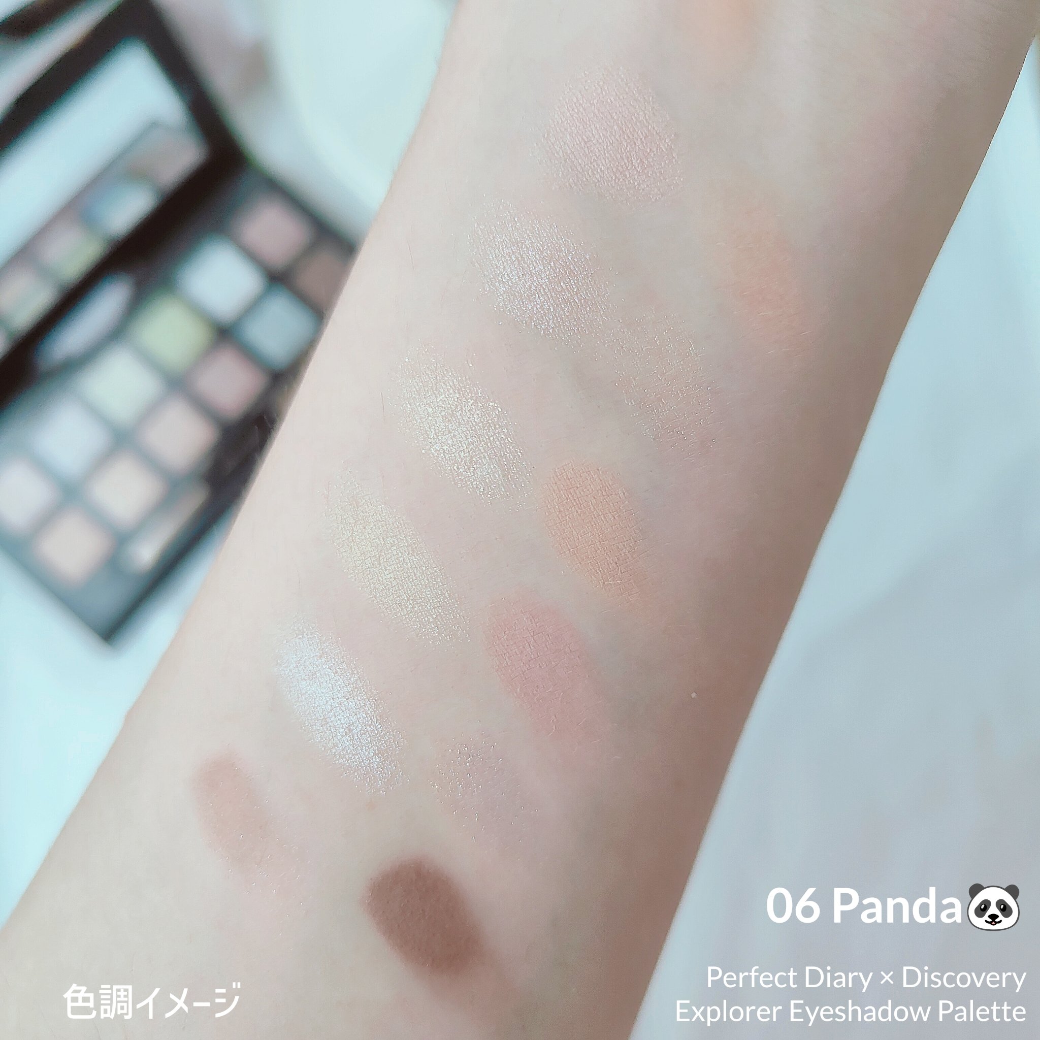 エクスプローラ12色 動物アイシャドウパレット/PERFECT DIARY/アイシャドウパレットを使ったクチコミ（3枚目）
