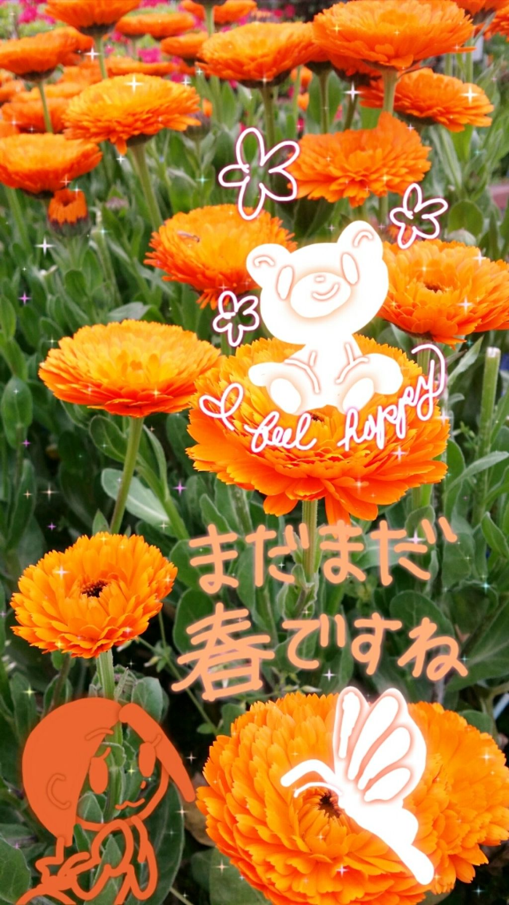 黒真珠マスク/我的美麗日記/シートマスク・パックを使ったクチコミ(3枚目)