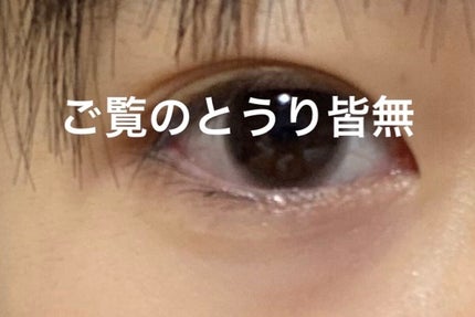 ラスティングマルチアイベース WP/キャンメイク/アイシャドウベースを使ったクチコミ(3枚目)
