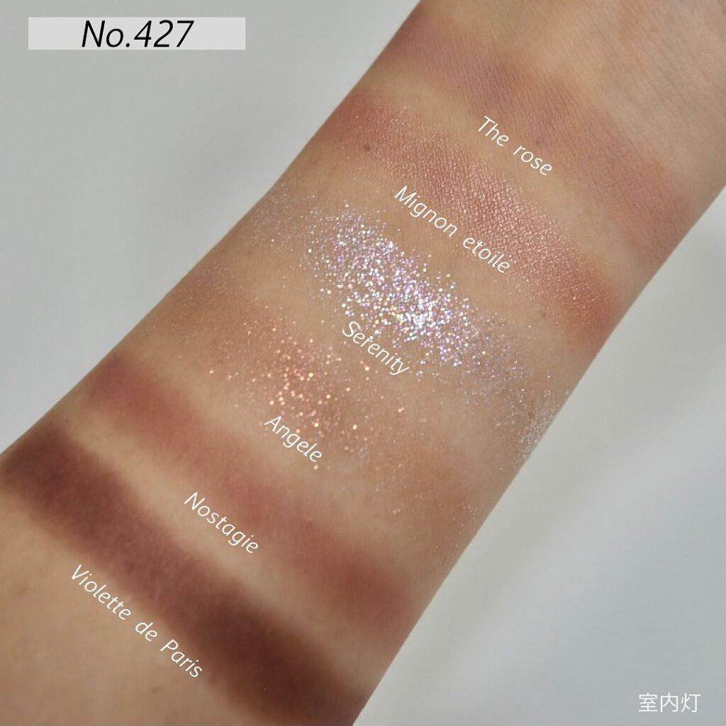 プロアイシャドウパレットセシル/CELEFIT/アイシャドウパレットを使ったクチコミ(6枚目)