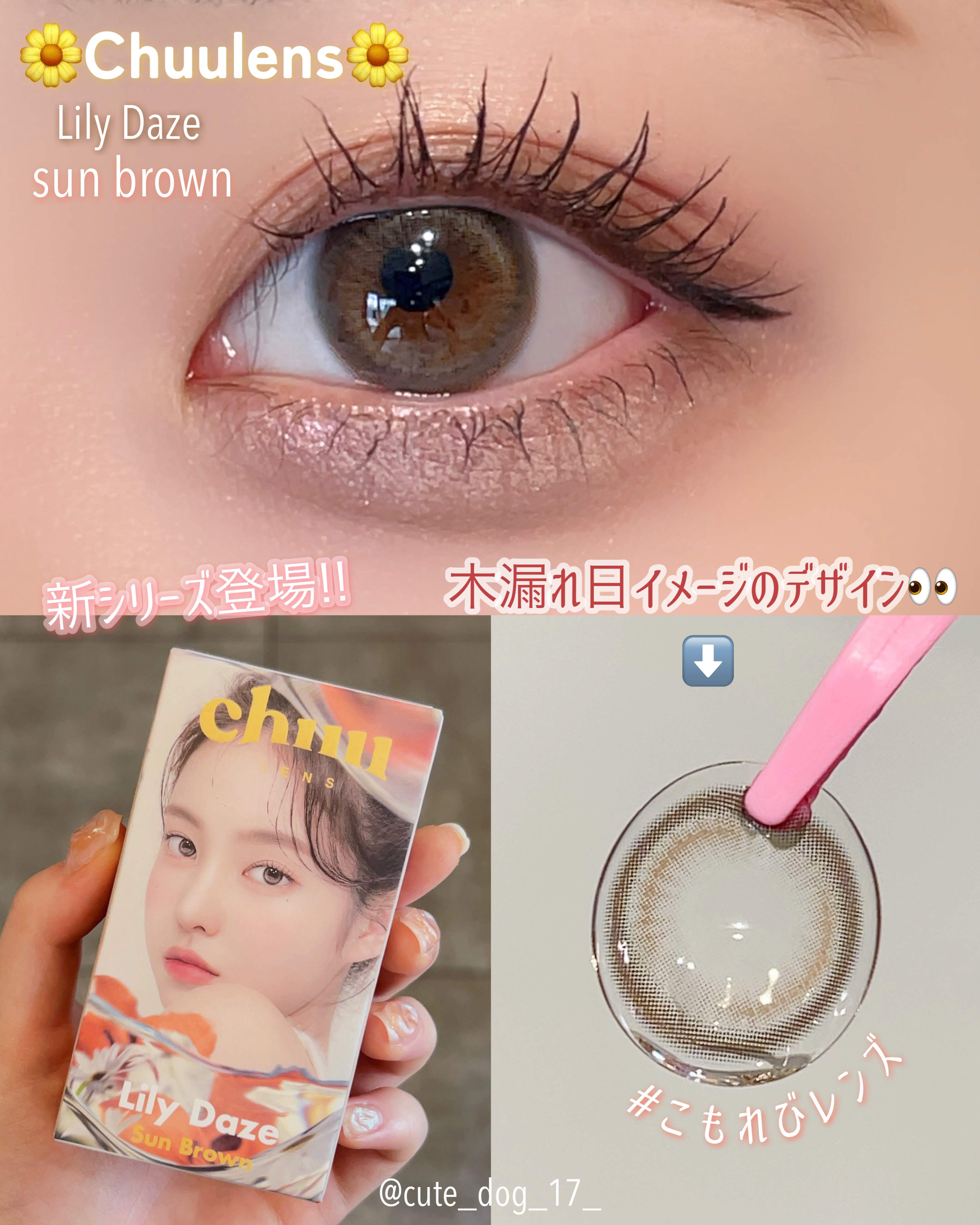 チューレンズの新シリーズ👀🔭
🌼Chuulens🌼
Lily Daze
🆕 sun brown

キャッチワードは
《瞳に差し込む太陽のあたたかな明かり#こもれびレンズ》

裸眼に馴染むディープブラウンベースに木漏れ日のような明る