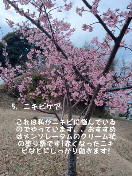 ニキビ治療薬(医薬品)/メンソレータム アクネス/その他を使ったクチコミ(5枚目)