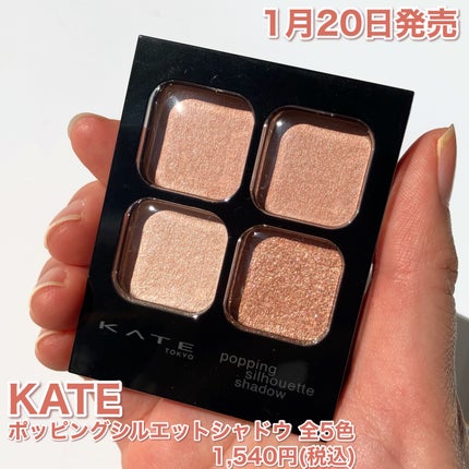 ケイト ポッピングシルエットシャドウ/KATE/アイシャドウパレットを使ったクチコミ(2枚目)