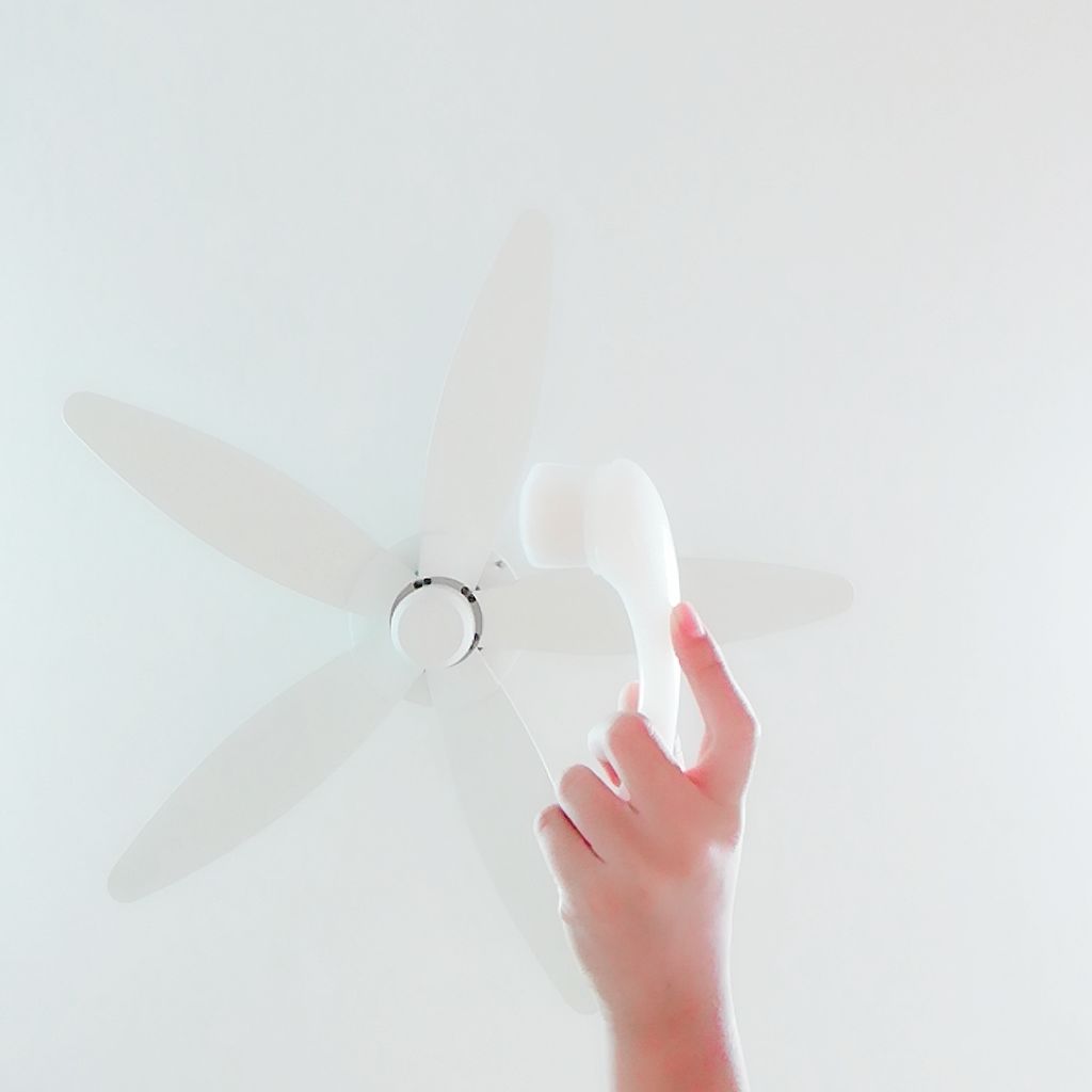 天然こんにゃくパフ/DAISO/その他スキンケアグッズを使ったクチコミ（2枚目）